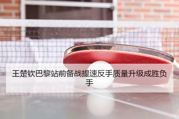王楚钦巴黎站前备战提速反手质量升级成胜负手