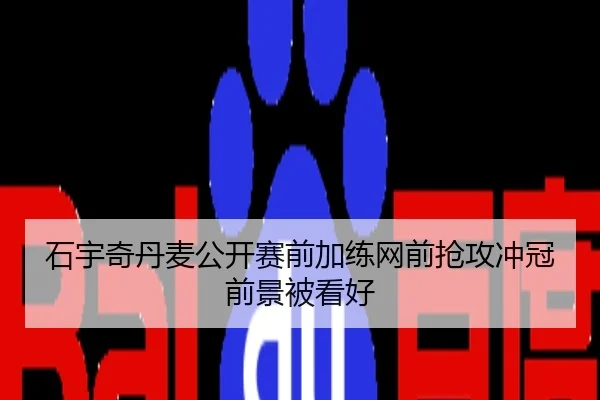 石宇奇丹麦公开赛前加练网前抢攻冲冠前景被看好